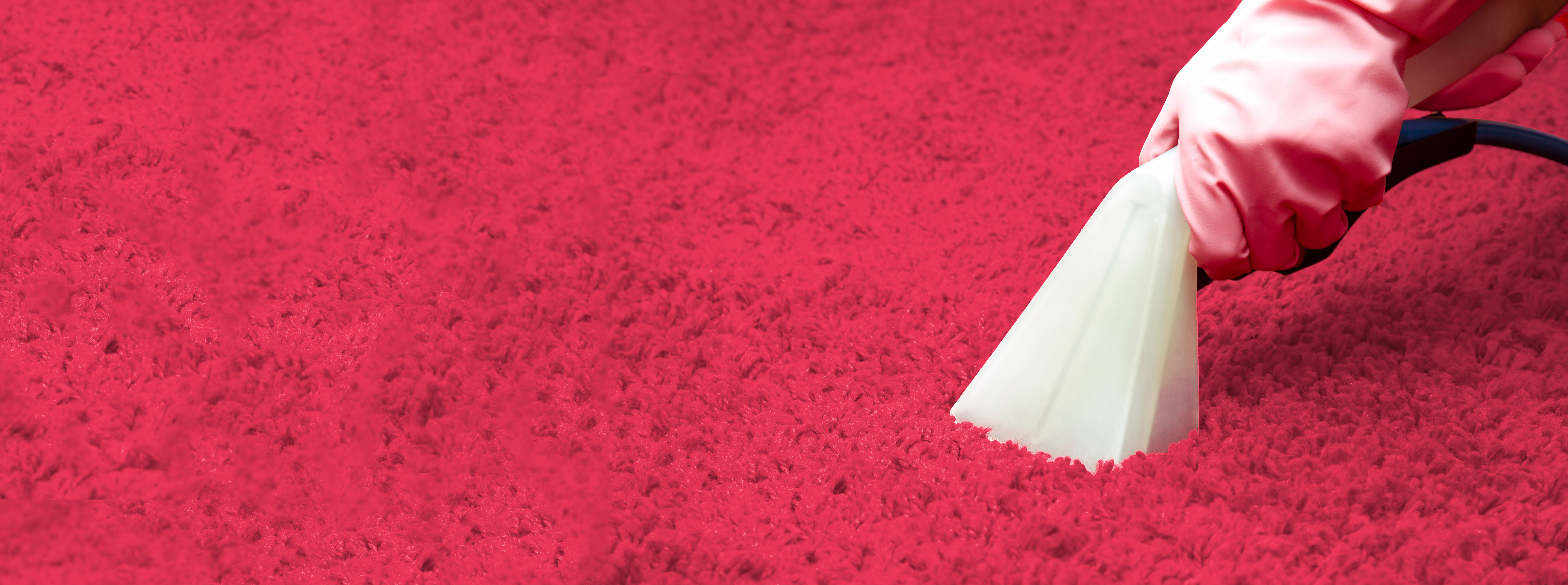 Carpet cleaning extraction tool on red carpet